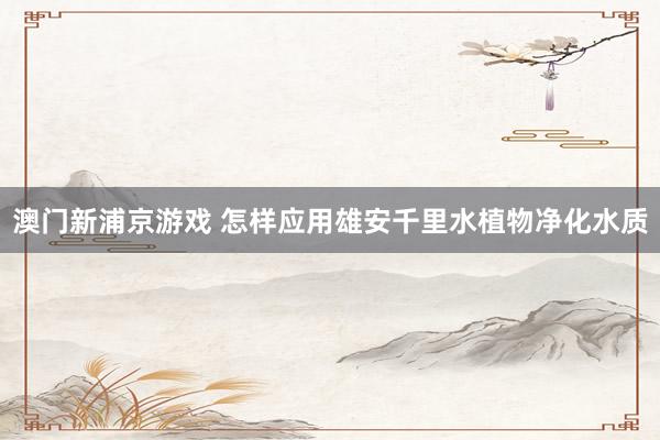 澳门新浦京游戏 怎样应用雄安千里水植物净化水质