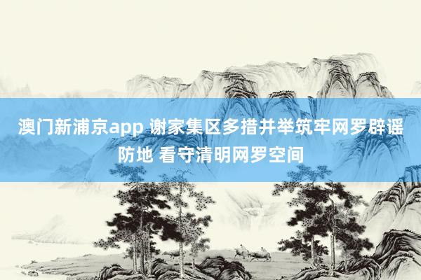 澳门新浦京app 谢家集区多措并举筑牢网罗辟谣防地 看守清明网罗空间