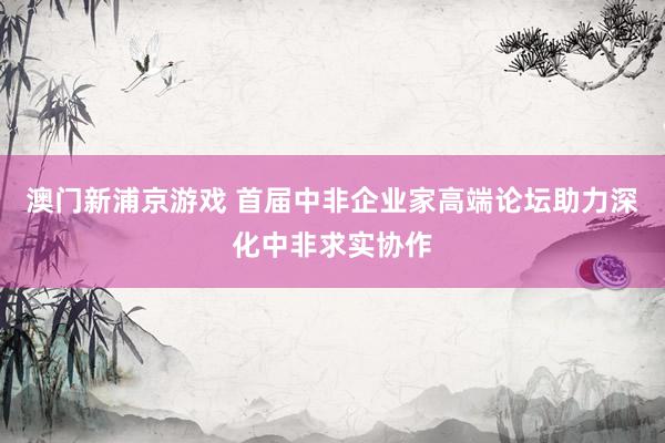 澳门新浦京游戏 首届中非企业家高端论坛助力深化中非求实协作