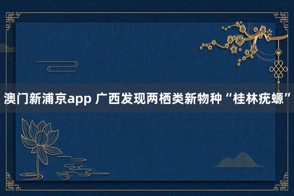 澳门新浦京app 广西发现两栖类新物种“桂林疣螈”