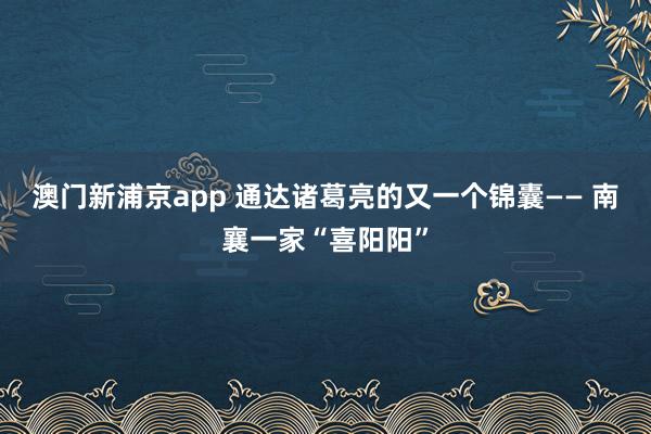 澳门新浦京app 通达诸葛亮的又一个锦囊—— 南襄一家“喜阳阳”