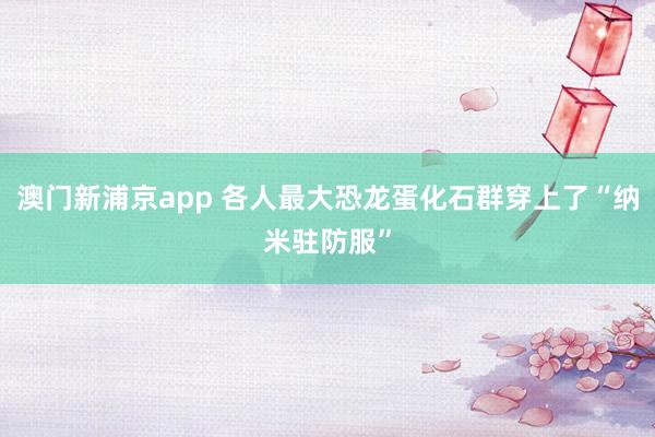 澳门新浦京app 各人最大恐龙蛋化石群穿上了“纳米驻防服”