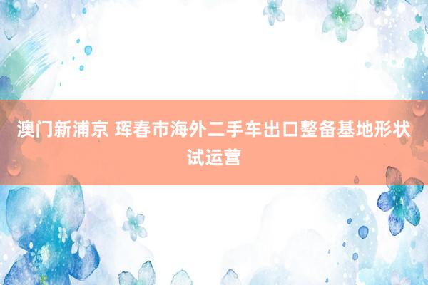 澳门新浦京 珲春市海外二手车出口整备基地形状试运营