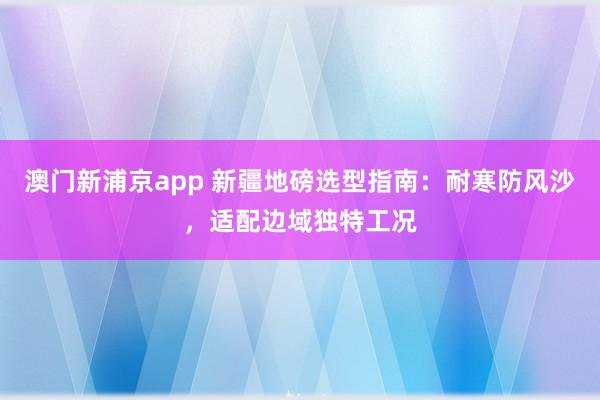 澳门新浦京app 新疆地磅选型指南：耐寒防风沙，适配边域独特工况