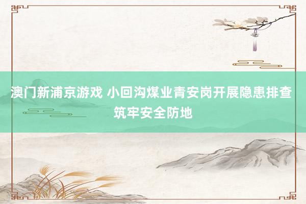 澳门新浦京游戏 小回沟煤业青安岗开展隐患排查 筑牢安全防地