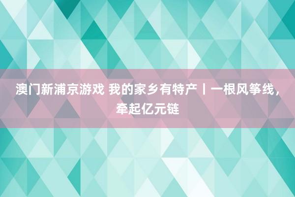 澳门新浦京游戏 我的家乡有特产丨一根风筝线，牵起亿元链
