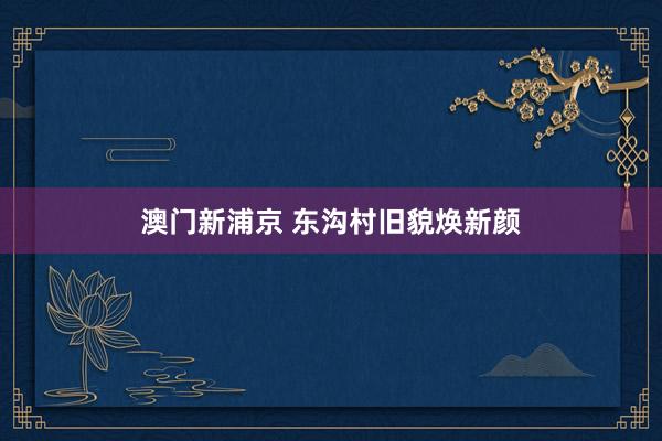 澳门新浦京 东沟村旧貌焕新颜