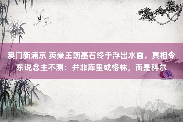 澳门新浦京 英豪王朝基石终于浮出水面，真相令东说念主不测：并非库里或格林，而是科尔