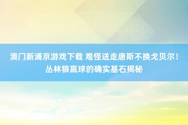 澳门新浦京游戏下载 难怪送走唐斯不换戈贝尔！丛林狼赢球的确实基石揭秘
