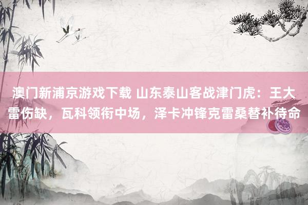 澳门新浦京游戏下载 山东泰山客战津门虎：王大雷伤缺，瓦科领衔中场，泽卡冲锋克雷桑替补待命
