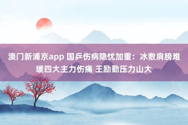 澳门新浦京app 国乒伤病隐忧加重：冰敷肩膀难缓四大主力伤痛 王励勤压力山大