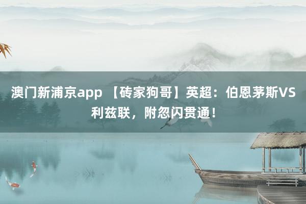 澳门新浦京app 【砖家狗哥】英超：伯恩茅斯VS利兹联，附忽闪贯通！