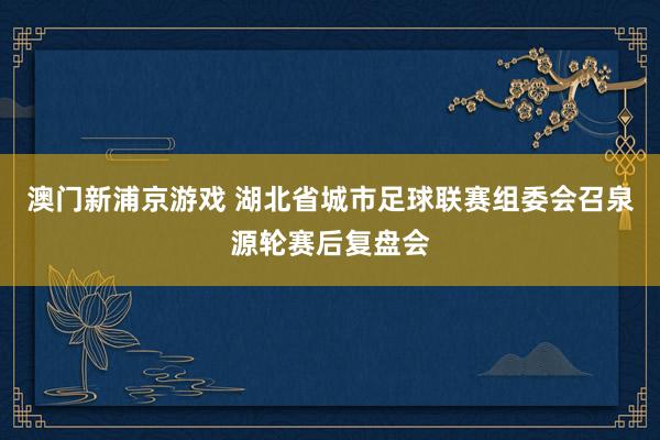 澳门新浦京游戏 湖北省城市足球联赛组委会召泉源轮赛后复盘会