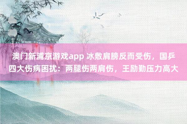 澳门新浦京游戏app 冰敷肩膀反而受伤，国乒四大伤病困扰：两腿伤两肩伤，王励勤压力高大
