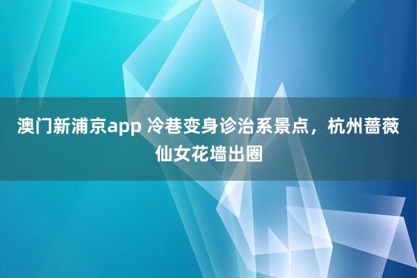 澳门新浦京app 冷巷变身诊治系景点，杭州蔷薇仙女花墙出圈