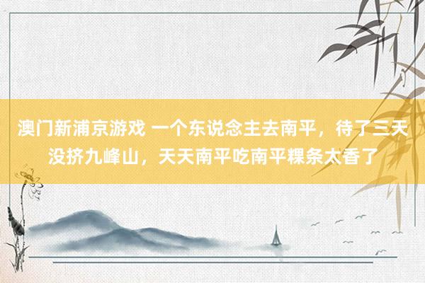 澳门新浦京游戏 一个东说念主去南平，待了三天没挤九峰山，天天南平吃南平粿条太香了