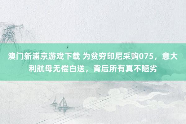 澳门新浦京游戏下载 为贫穷印尼采购075，意大利航母无偿白送，背后所有真不陋劣