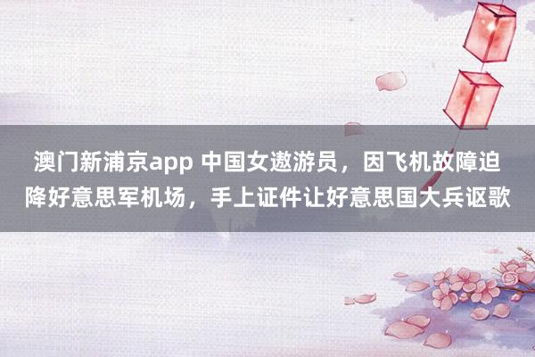 澳门新浦京app 中国女遨游员，因飞机故障迫降好意思军机场，手上证件让好意思国大兵讴歌