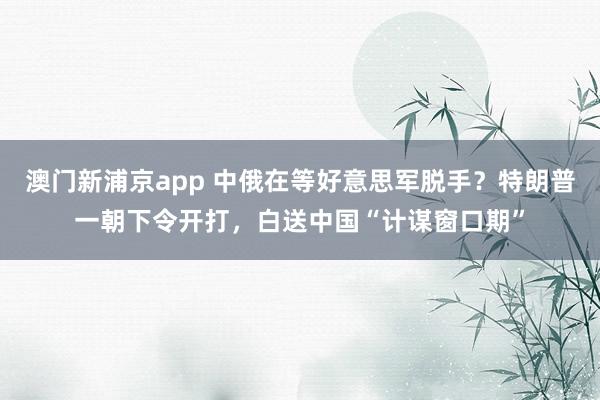 澳门新浦京app 中俄在等好意思军脱手？特朗普一朝下令开打，白送中国“计谋窗口期”