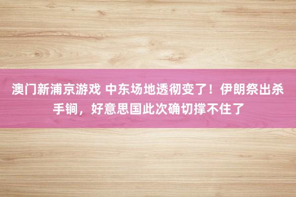 澳门新浦京游戏 中东场地透彻变了！伊朗祭出杀手锏，好意思国此次确切撑不住了