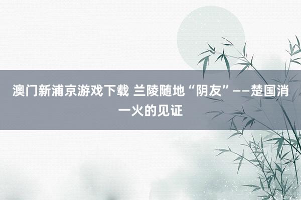 澳门新浦京游戏下载 兰陵随地“阴友”——楚国消一火的见证