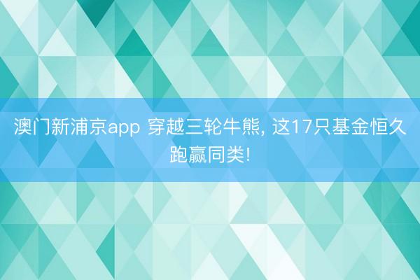 澳门新浦京app 穿越三轮牛熊, 这17只基金恒久跑赢同类!