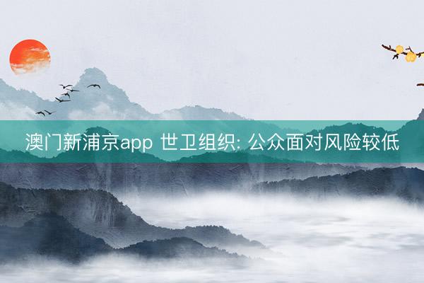 澳门新浦京app 世卫组织: 公众面对风险较低