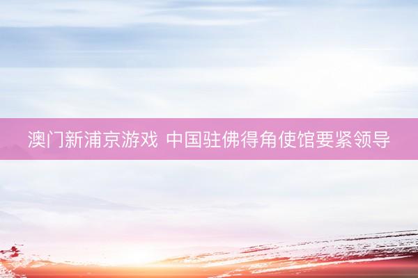 澳门新浦京游戏 中国驻佛得角使馆要紧领导