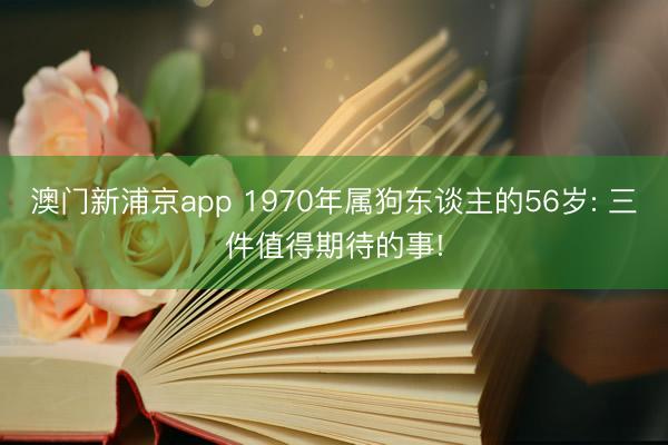 澳门新浦京app 1970年属狗东谈主的56岁: 三件值得期待的事!