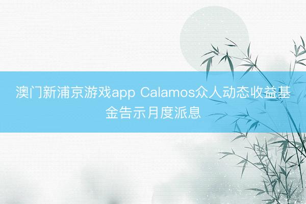 澳门新浦京游戏app Calamos众人动态收益基金告示月度派息