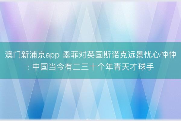 澳门新浦京app 墨菲对英国斯诺克远景忧心忡忡: 中国当今有二三十个年青天才球手